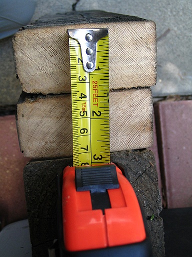 Old growth Douglas fir on new