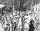 tn_osmarcha1.gif